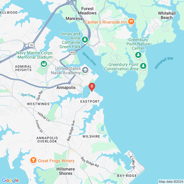 Viking Systems Inc image